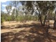 Lot 148 Cumbil Road, Baradine NSW 2396