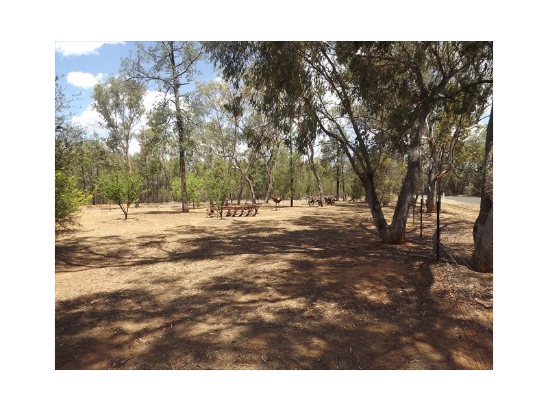 Lot 148 Cumbil Road, Baradine NSW 2396