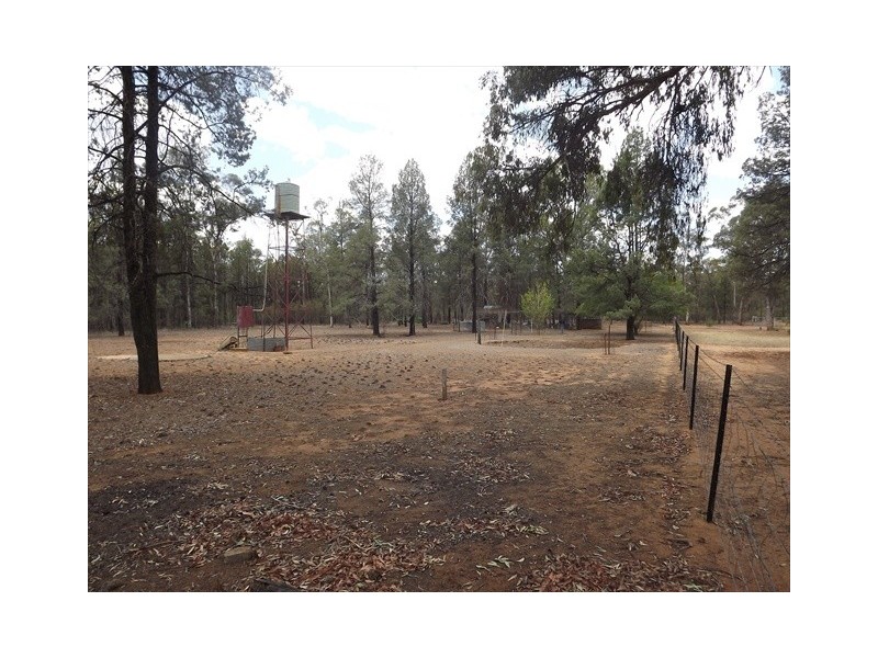 Lot 148 Cumbil Road, Baradine NSW 2396