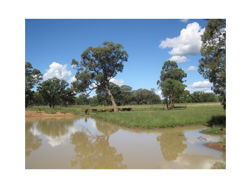 Coonabarabran NSW 2357