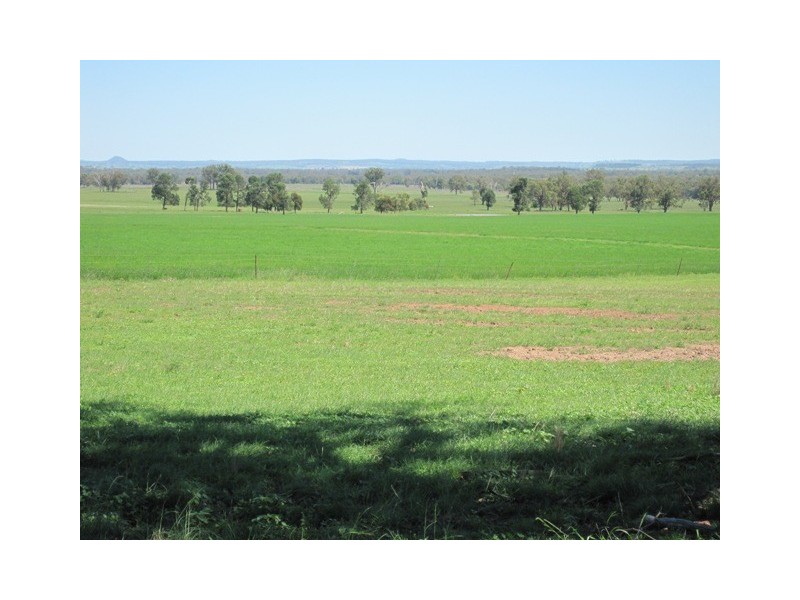 Coonabarabran NSW 2357