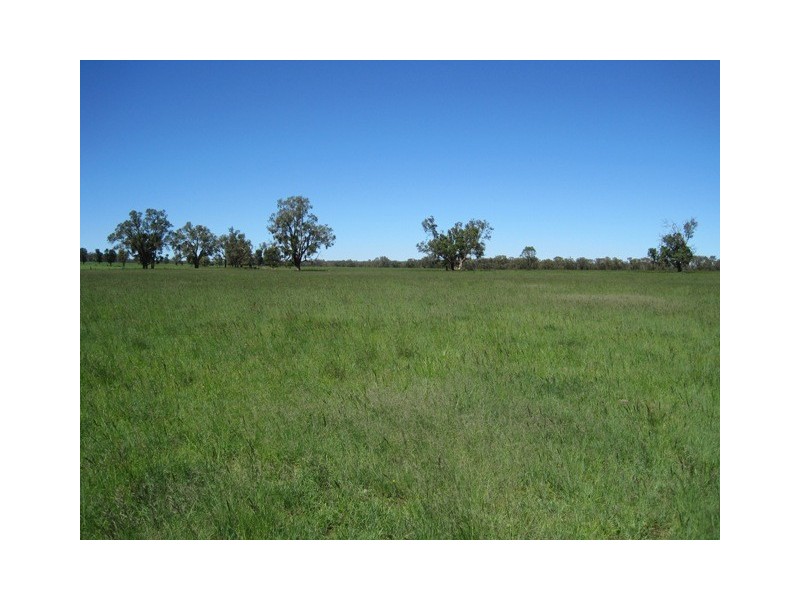 Coonabarabran NSW 2357