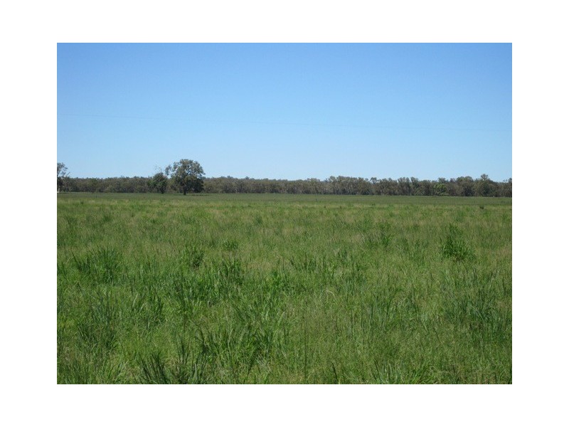 Coonabarabran NSW 2357