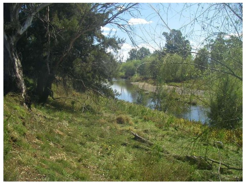 Lot 82  Ski Garden Road, Manilla NSW 2346