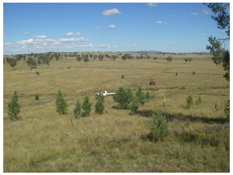 Lot 82  Ski Garden Road, Manilla NSW 2346