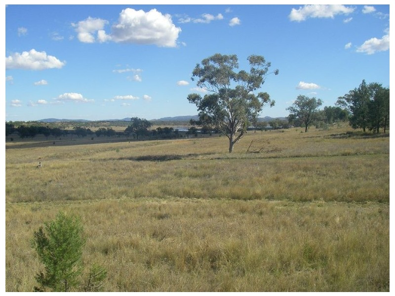 Lot 82  Ski Garden Road, Manilla NSW 2346