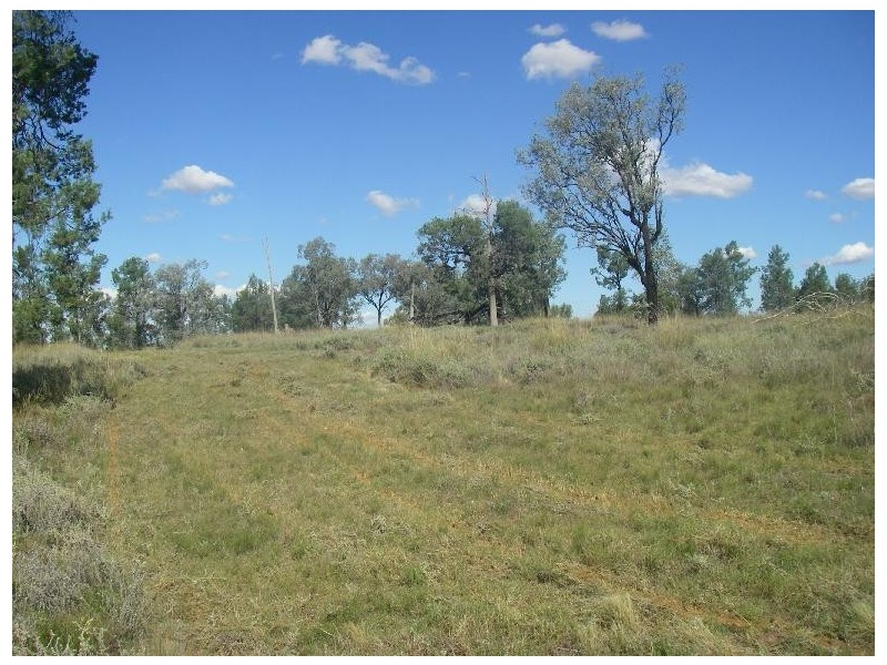 Lot 82  Ski Garden Road, Manilla NSW 2346