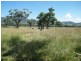 GLENCONA, BUNDELLA /, Quirindi NSW 2343