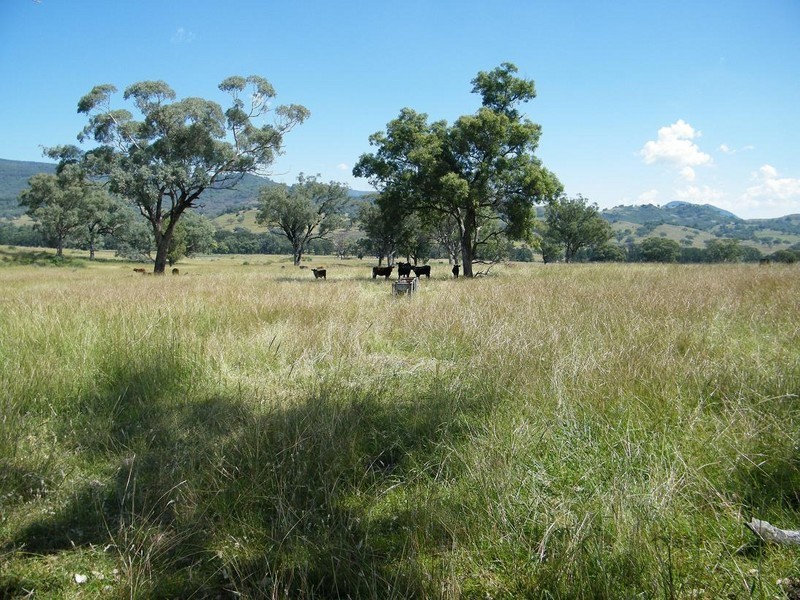 GLENCONA, BUNDELLA /, Quirindi NSW 2343
