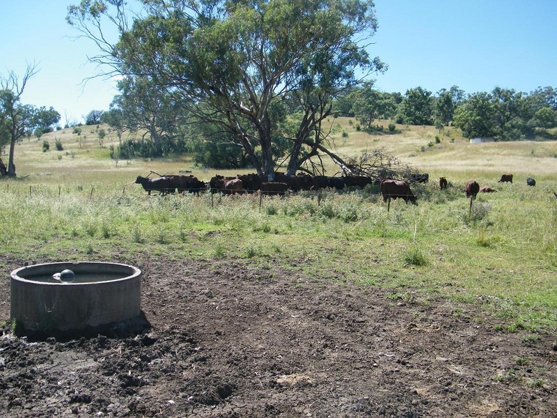 GLENCONA, BUNDELLA /, Quirindi NSW 2343