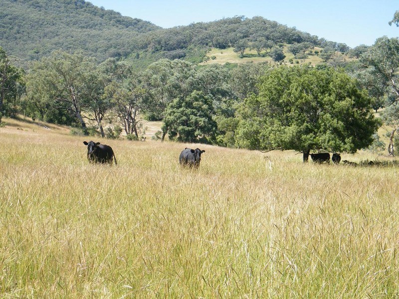 GLENCONA, BUNDELLA /, Quirindi NSW 2343