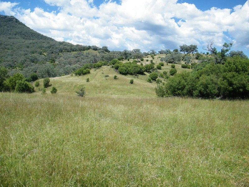 GLENCONA, BUNDELLA /, Quirindi NSW 2343