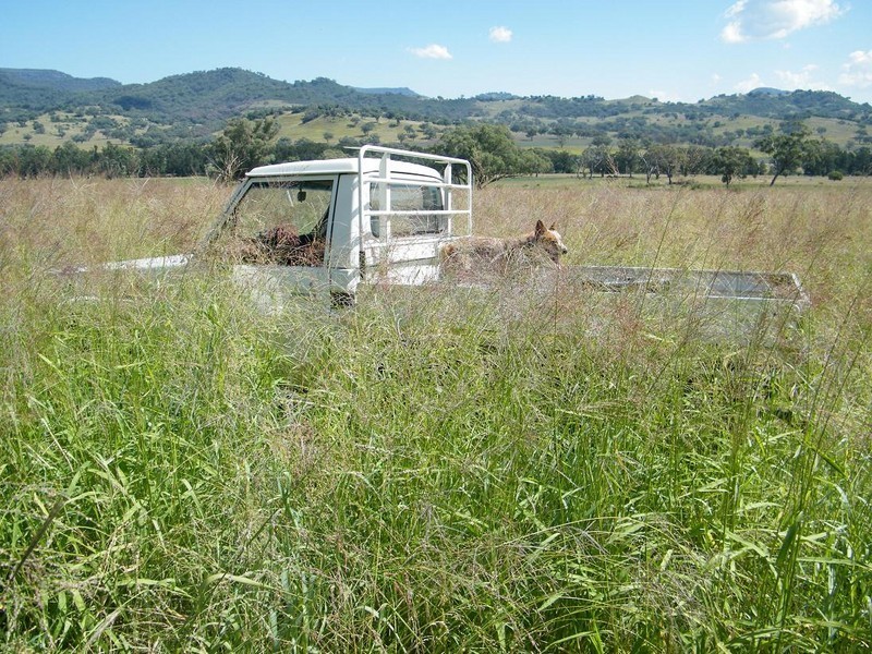 GLENCONA, BUNDELLA /, Quirindi NSW 2343