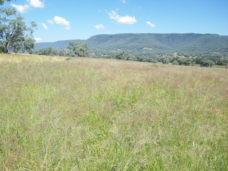 GLENCONA, BUNDELLA /, Quirindi NSW 2343