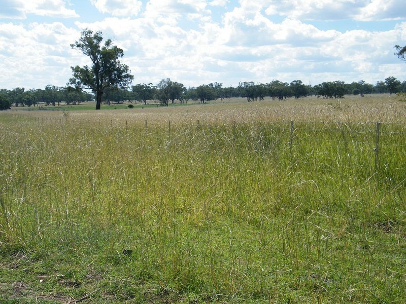 GLENCONA, BUNDELLA /, Quirindi NSW 2343