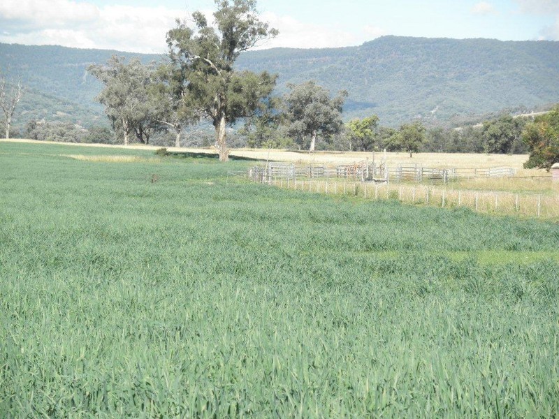 GLENCONA, BUNDELLA /, Quirindi NSW 2343