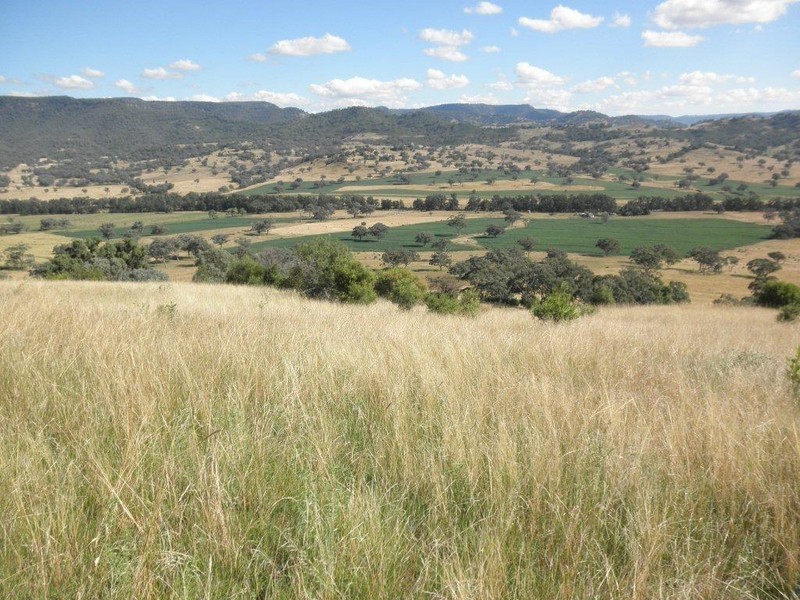 GLENCONA, BUNDELLA /, Quirindi NSW 2343
