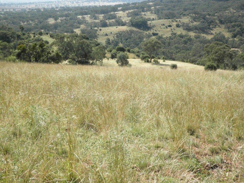 GLENCONA, BUNDELLA /, Quirindi NSW 2343