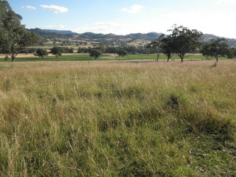 GLENCONA, BUNDELLA /, Quirindi NSW 2343