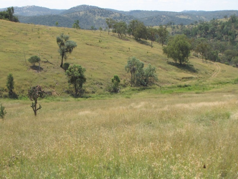HILLSIDE Bedwell Downs Road, Yetman NSW 2410