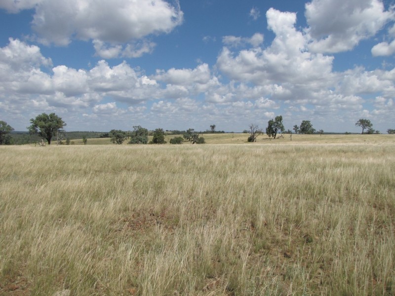 HILLSIDE Bedwell Downs Road, Yetman NSW 2410