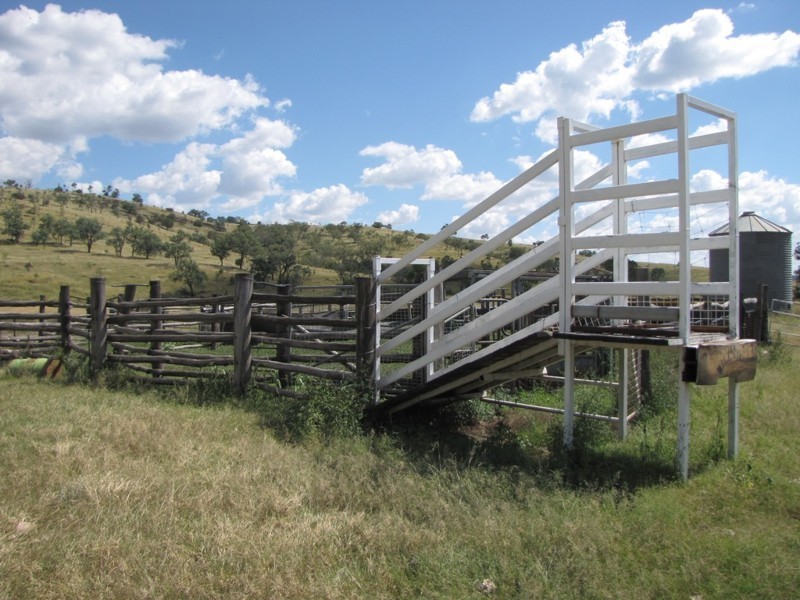 HILLSIDE Bedwell Downs Road, Yetman NSW 2410