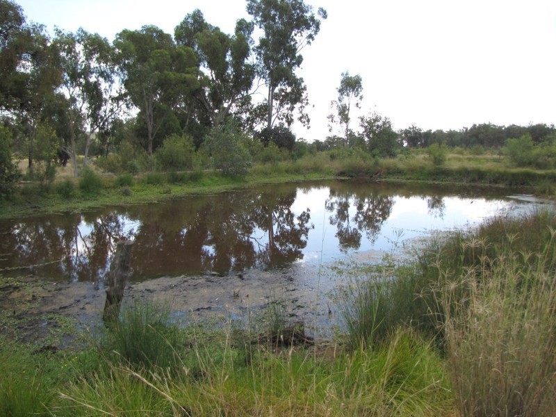 HILLSIDE Bedwell Downs Road, Yetman NSW 2410