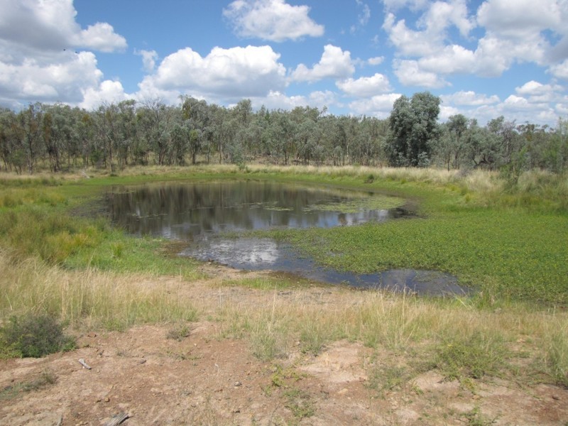 HILLSIDE Bedwell Downs Road, Yetman NSW 2410