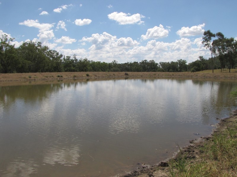 HILLSIDE Bedwell Downs Road, Yetman NSW 2410