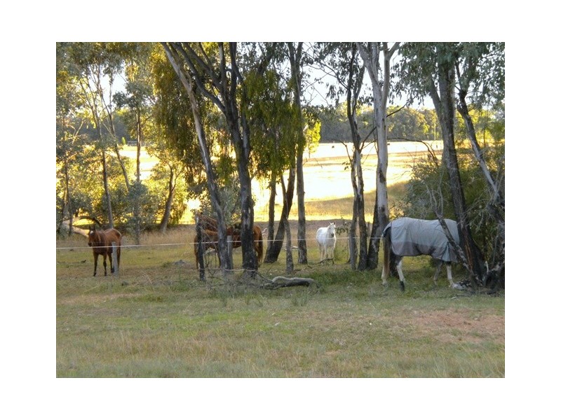 Coonabarabran NSW 2357