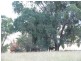 . Danglemah Road, Woolbrook NSW 2354