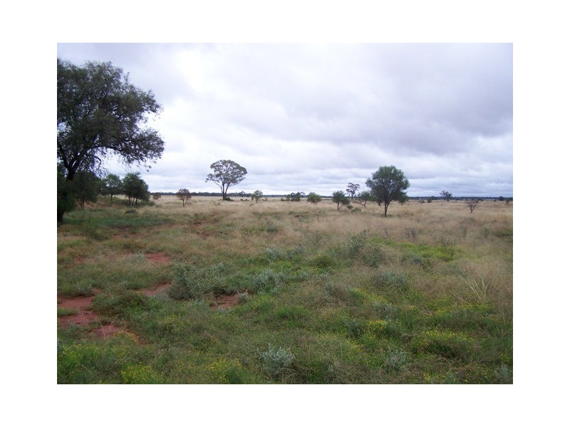 “SEAFORD  ADDITIONAL”, Nyngan NSW 2825