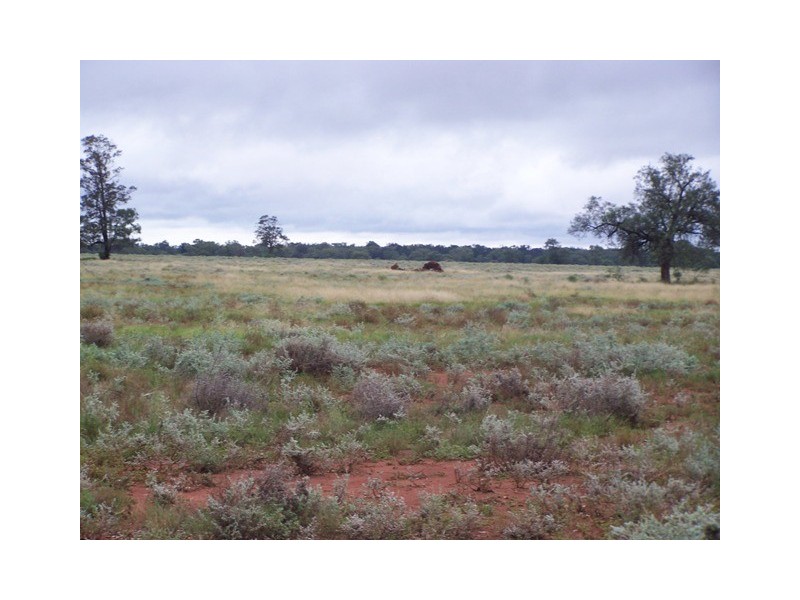 “SEAFORD  ADDITIONAL”, Nyngan NSW 2825