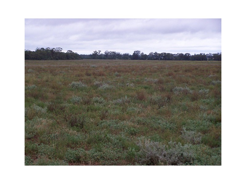 “SEAFORD  ADDITIONAL”, Nyngan NSW 2825