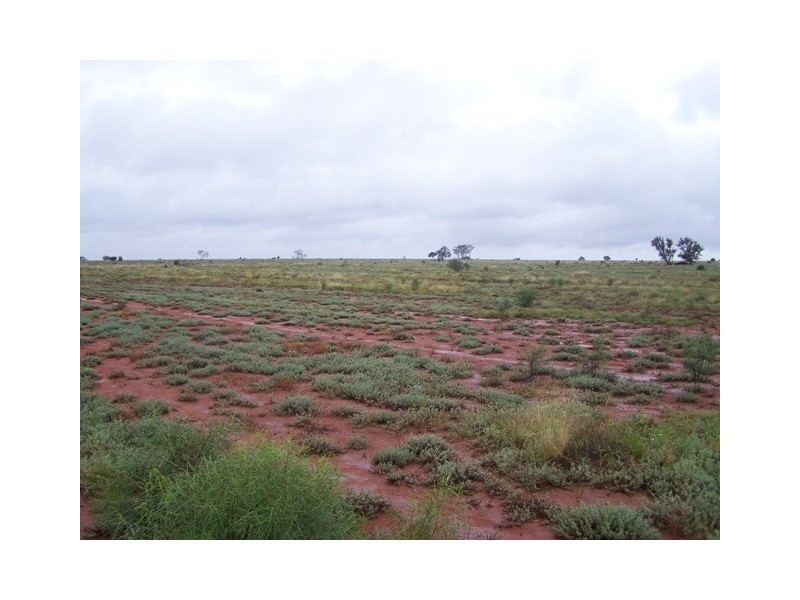 “SEAFORD  ADDITIONAL”, Nyngan NSW 2825