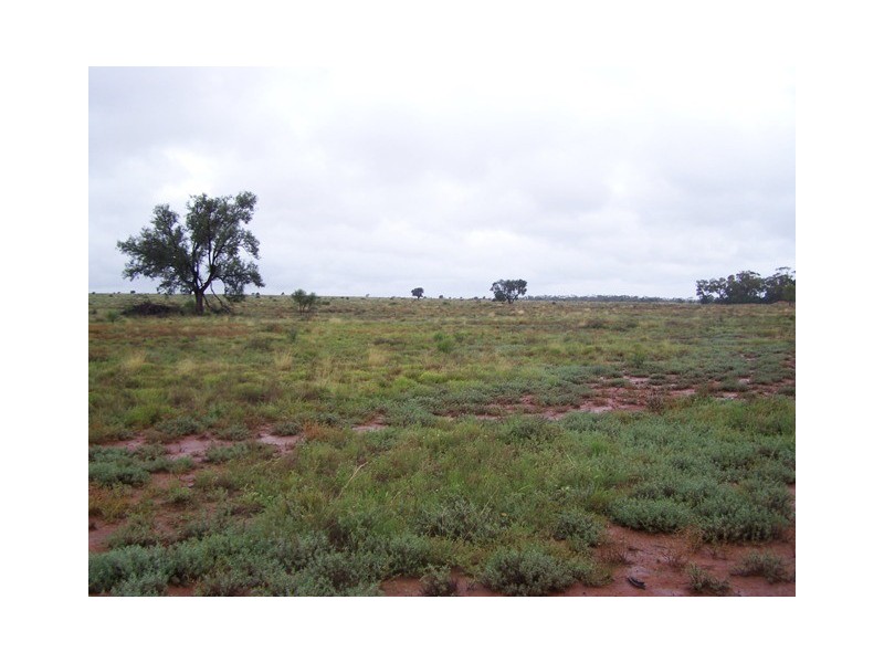 “SEAFORD  ADDITIONAL”, Nyngan NSW 2825