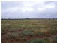 “SEAFORD  ADDITIONAL”, Nyngan NSW 2825