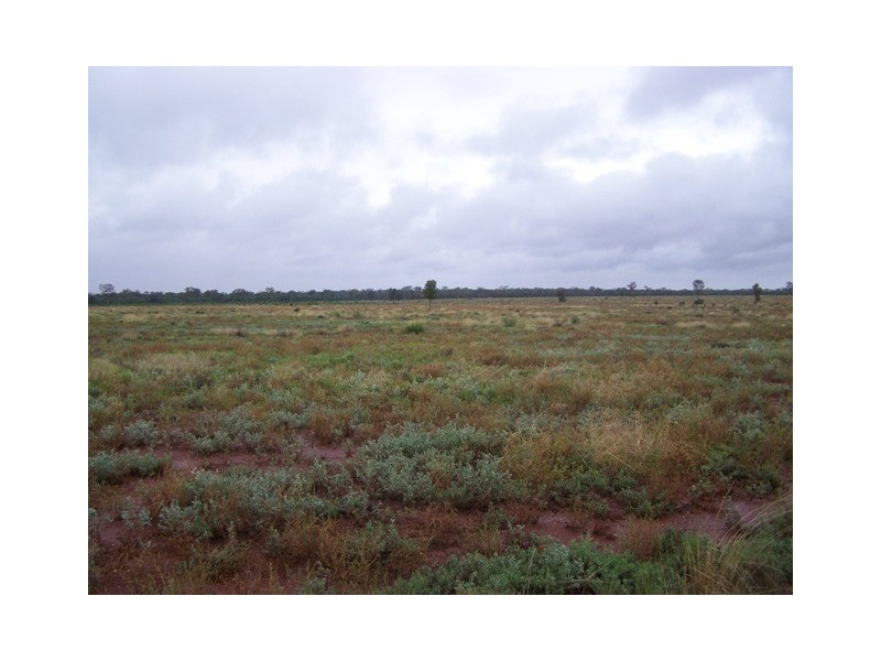 “SEAFORD  ADDITIONAL”, Nyngan NSW 2825