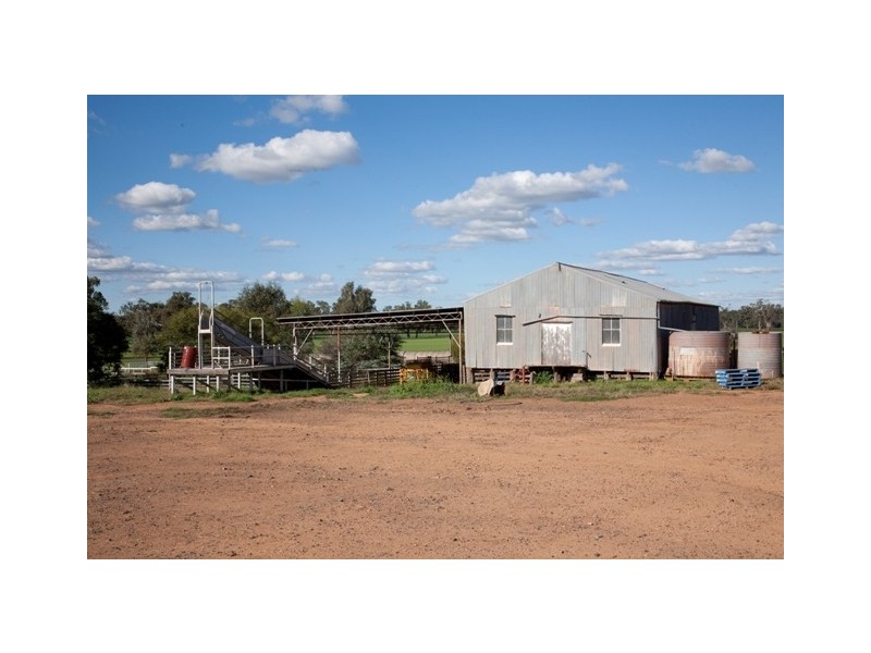 “DUNDULLIMAL” Obley Road, Dubbo NSW 2830