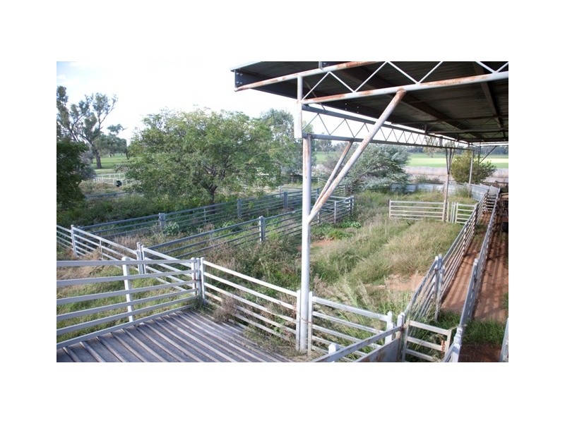 “DUNDULLIMAL” Obley Road, Dubbo NSW 2830