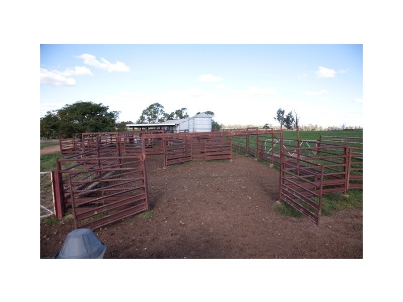 “DUNDULLIMAL” Obley Road, Dubbo NSW 2830