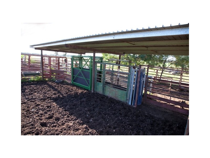 “DUNDULLIMAL” Obley Road, Dubbo NSW 2830