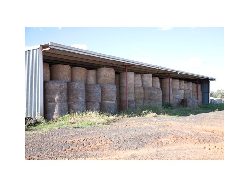 “DUNDULLIMAL” Obley Road, Dubbo NSW 2830
