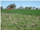 HILLSBOROUGH -, Coolah NSW 2843