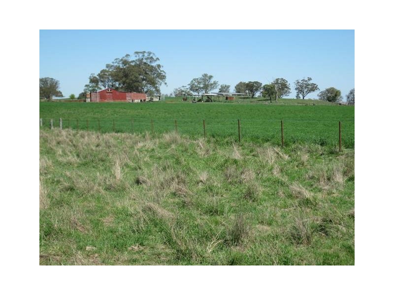 HILLSBOROUGH -, Coolah NSW 2843