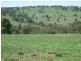 HILLSBOROUGH -, Coolah NSW 2843