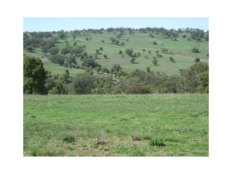 HILLSBOROUGH -, Coolah NSW 2843