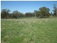 HILLSBOROUGH -, Coolah NSW 2843