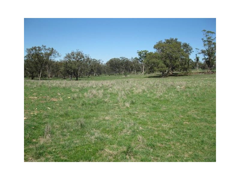 HILLSBOROUGH -, Coolah NSW 2843