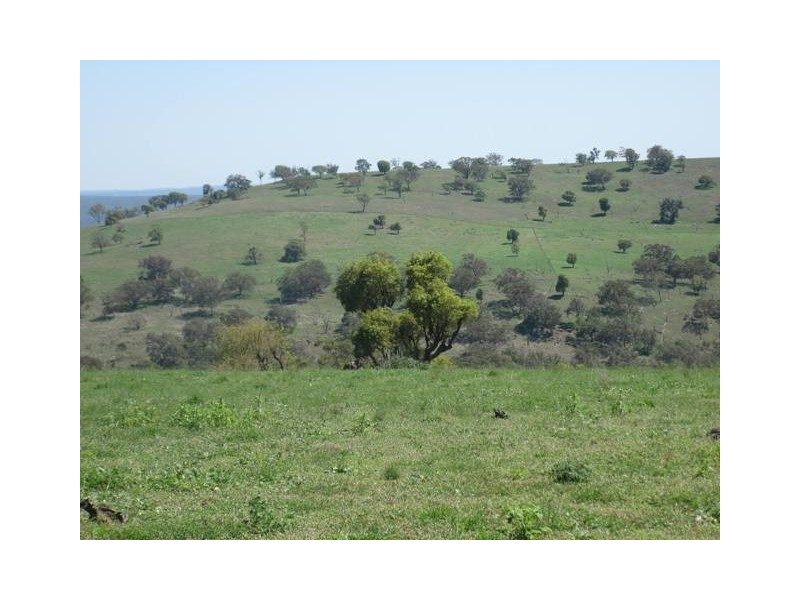 HILLSBOROUGH -, Coolah NSW 2843